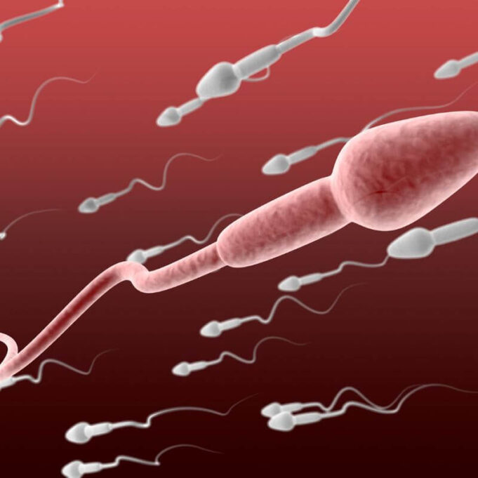 Can Sperm Go Through 1 Layer Clothing