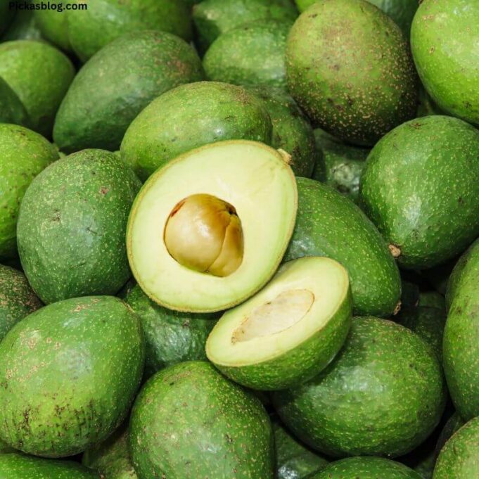 Can You eat a Pear and Avocado Skin Can You eat a Pear and Avocado Skin