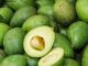 Can You eat a Pear and Avocado Skin Can You eat a Pear and Avocado Skin