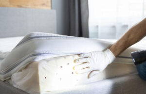Home Remedies for Bed Bugs Home Remedies for Bed Bugs