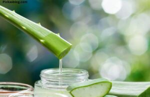 How to Use Aloe Vera Gel on the Face at Night How to Use Aloe Vera Gel on the Face at Night