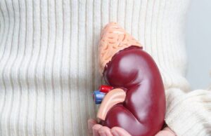 What Happens After You Donate a Kidney What Happens After You Donate a Kidney
