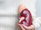 What Happens After You Donate a Kidney What Happens After You Donate a Kidney