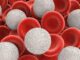 What Happens If White Blood Cells Are High What Happens If White Blood Cells Are High