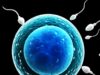 What Happens If You Block Sperm From Coming Out What Happens If You Block Sperm From Coming Out