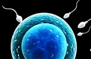 What Happens If You Block Sperm From Coming Out What Happens If You Block Sperm From Coming Out
