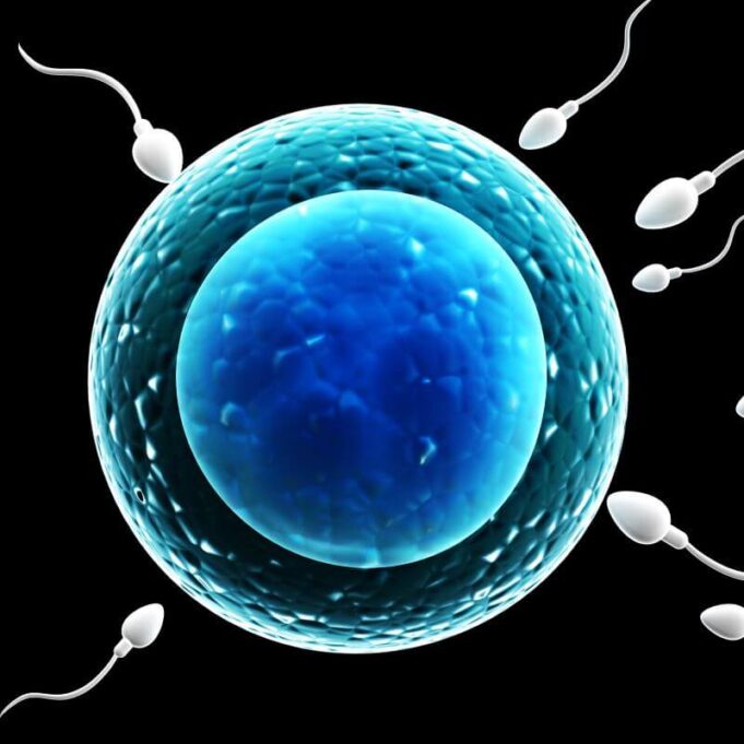 What Happens If You Block Sperm From Coming Out What Happens If You Block Sperm From Coming Out
