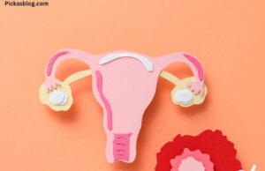 What Happens To Your Body During Ovulation What Happens To Your Body During Ovulation