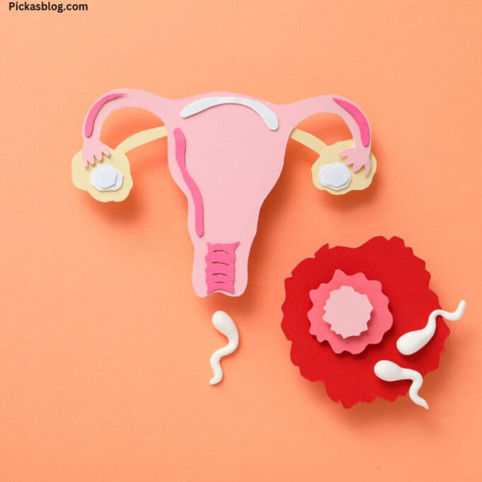 What Happens To Your Body During Ovulation What Happens To Your Body During Ovulation