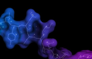 What Happens When Prolactin Levels are High What Happens When Prolactin Levels are High