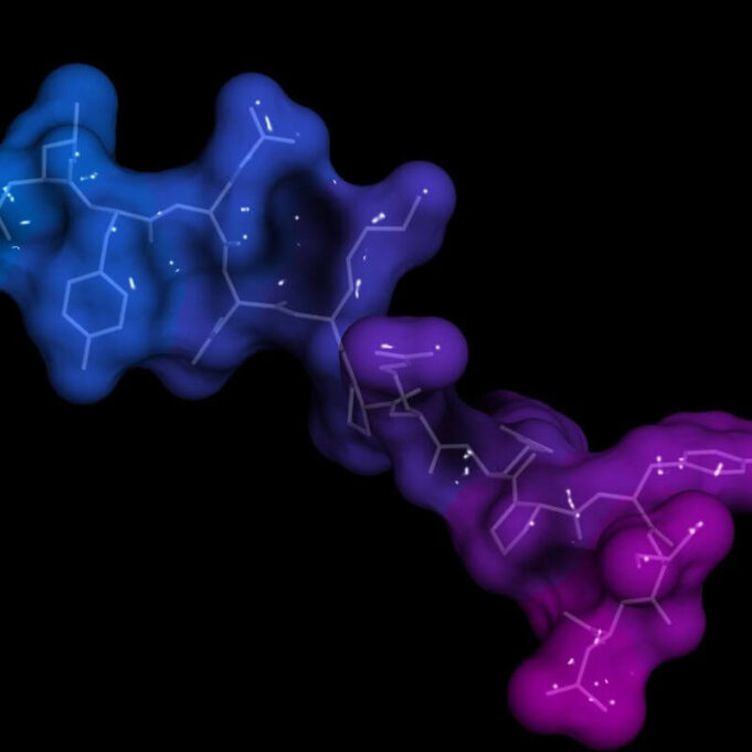 What Happens When Prolactin Levels are High What Happens When Prolactin Levels are High