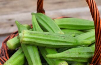 What Happens When You Eat Okra Everyday What Happens When You Eat Okra Everyday