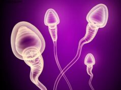 What Happens if We Release Sperm Daily What Happens if We Release Sperm Daily