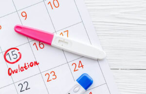 What Happens to an Unfertilized Egg After Ovulation What Happens to an Unfertilized Egg After Ovulation
