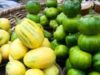 Is Garden Egg Good for Pregnant Women Is Garden Egg Good for Pregnant Women