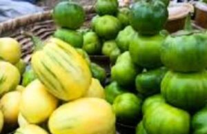 Is Garden Egg Good for Pregnant Women Is Garden Egg Good for Pregnant Women