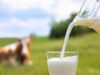 The Best Milk Alternatives for Acne Prone Skin The Best Milk Alternatives for Acne Prone Skin