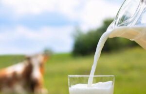 The Best Milk Alternatives for Acne Prone Skin The Best Milk Alternatives for Acne Prone Skin