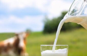 The Best Milk Alternatives for Acne Prone Skin The Best Milk Alternatives for Acne Prone Skin