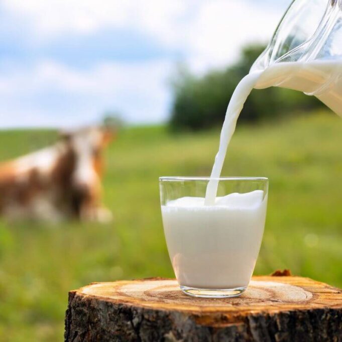 The Best Milk Alternatives for Acne Prone Skin The Best Milk Alternatives for Acne Prone Skin