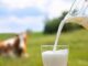 The Best Milk Alternatives for Acne Prone Skin The Best Milk Alternatives for Acne Prone Skin