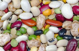 Eating Too Much Beans Side Effects Eating Too Much Beans Side Effects