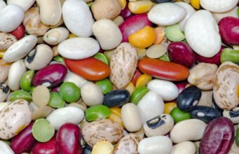 Eating Too Much Beans Side Effects Eating Too Much Beans Side Effects