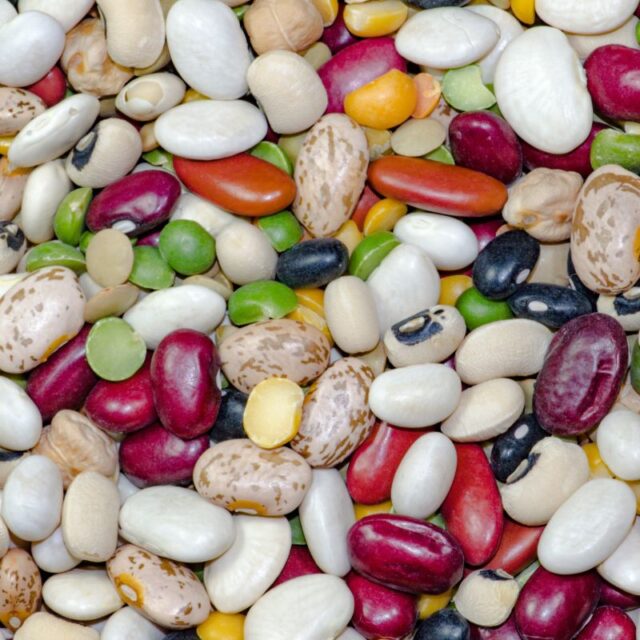 Eating Too Much Beans Side Effects Eating Too Much Beans Side Effects