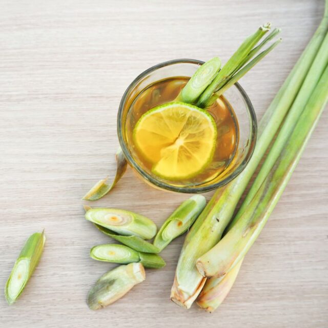 Lemon Grass Tea Side Effect Lemon Grass Tea Side Effects