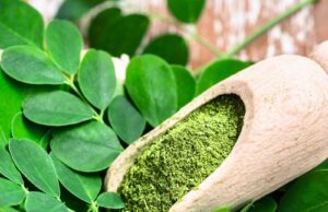 Moringa Tea Side Effects Moringa Tea Side Effects