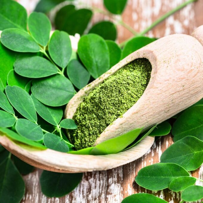 Moringa Tea Side Effects Moringa Tea Side Effects