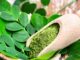 Moringa Tea Side Effects Moringa Tea Side Effects
