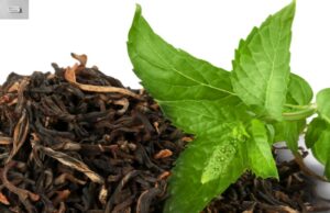 Pu erh Tea Side Effects Pu erh Tea Side Effects