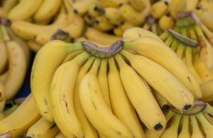 Side Effects of Eating Bananas at Night Side Effects of Eating Bananas at Night