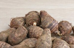 Side Effects of Eating Cocoyam Side Effects of Eating Cocoyam