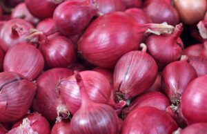 Side Effects of Eating Raw Onions Every Day Side Effects of Eating Raw Onions Every Day