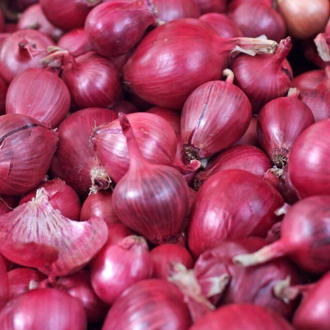 Side Effects of Eating Raw Onions Every Day Side Effects of Eating Raw Onions Every Day