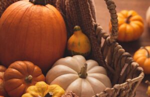 Side Effects of Eating Raw Pumpkins Side Effects of Eating Raw Pumpkins
