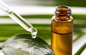 Side Effects of Tea Tree Oil Side Effects of Tea Tree Oil
