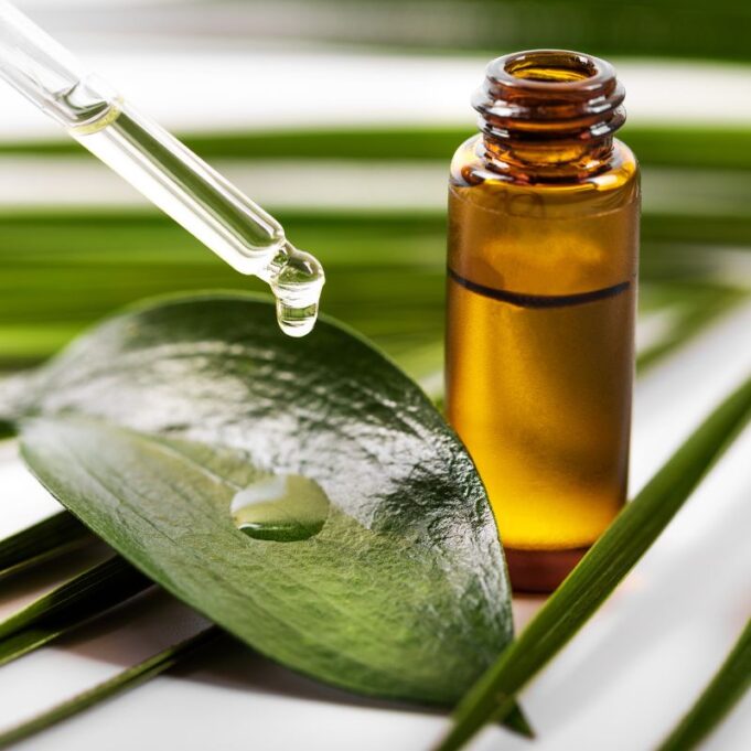 Side Effects of Tea Tree Oil Side Effects of Tea Tree Oil