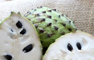 Soursop Tea Side Effects