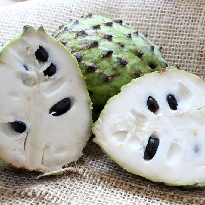 Soursop Tea Side Effects