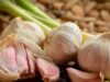 Side Effects of Eating Raw Garlic on an Empty Stomach Side Effects of Eating Raw Garlic on an Empty Stomach