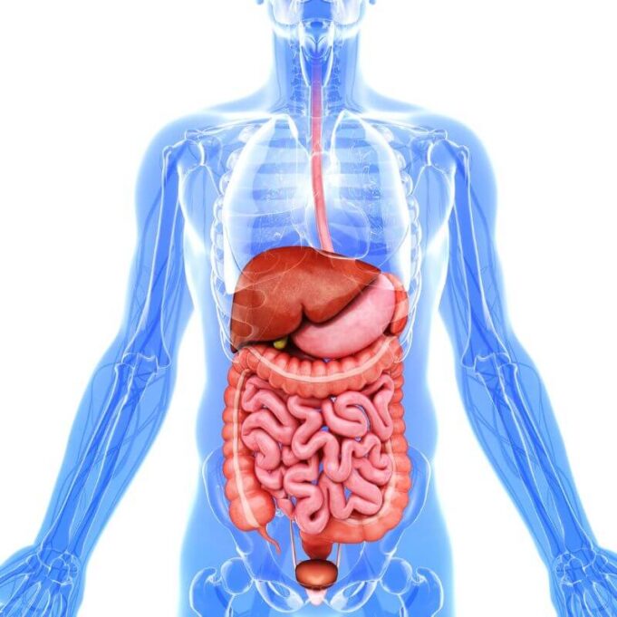 Organ Harvesting Meaning. All You Need to Know Organ Harvesting Meaning. All You Need to Know