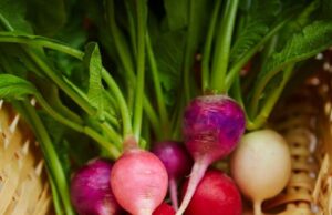 Benefits of Turnip to the Skin Benefits of Turnip to the Skin