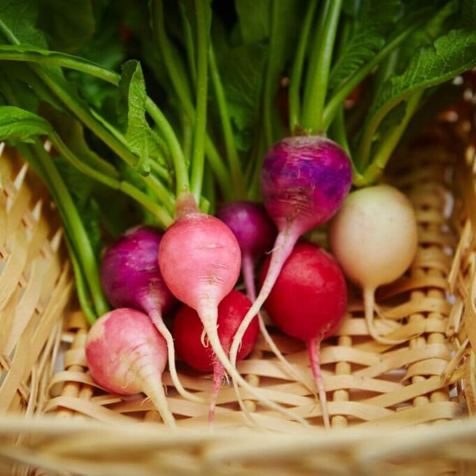 Benefits of Turnip to the Skin Benefits of Turnip to the Skin
