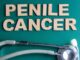 Inflammation of the Penile Skin Inflammation of the Penile Skin